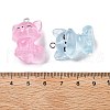 Cute Transparent Resin Pendants RESI-S020-03P-3