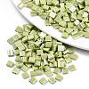 2-Hole Glass Seed Beads SEED-S031-L-ST124-1