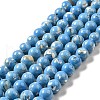 Synthetic Turquoise and Sea Shell Assembled Beads Strands G-D482-01A-04-2