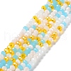 Glass Beads Strands EGLA-A034-M6mm-52-1