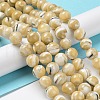 Natural Trochus Shell Beads Strands BSHE-P033-03C-2