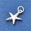 925 Sterling Silver Charms STER-Q003-01C-S-2