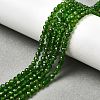 Natural Green Diopside Beads Strands G-NH0046-A01-02-1