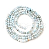 Natural Larimar Beads Strands G-G259-D13-2mm-3