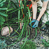 Olycraft DIY Plant Stakes Making Kit DIY-OC0011-34-6