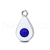 Platinum Plated Alloy Glass Rhinestone Charms PALLOY-TAC0015-01I-1
