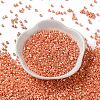 Baking Paint Glass Seed Beads X-SEED-S042-15A-03-2