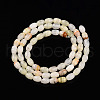 Natural Afghan Jade Beads Strands G-N346-02A-12-4