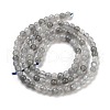 Natural Labradorite Beads Strands X-G-G140-D02-02-3