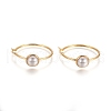 304 Stainless Steel Hoop Earrings STAS-D171-13G-2