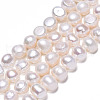 Natural Cultured Freshwater Pearl Beads Strands PEAR-N014-05H-2
