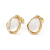 Ion Plating(IP) 304 Stainless Steel Teardrop Stud Earrings EJEW-Z068-36G-01-8
