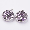 Natural Amethyst Pendants KK-K216-A05-1