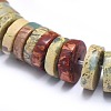 Natural Aqua Terra Jasper Beads Strands G-I213-08-10mm-3