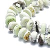 Natural American Turquoise(Jasper) Beads Strands G-F715-066-3