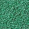 TOHO Round Seed Beads X-SEED-TR11-0561-2