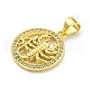 Brass Micro Pave Cubic Zirconia Pendants KK-K354-03G-05-2