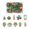 Kissitty 20Pcs 10 Style Transparent Resin & Walnut Wood Pendants RESI-KS0001-08-8