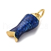 Brass Enamel Pendants KK-I276-22G-3