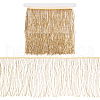 BENECREAT 1.25 Yards Seed Bead Fringe Trimming DIY-BC0012-58B-1
