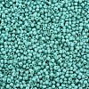 13/0 Glass Seed Beads SEED-T005-14A-A14-3