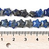 Natural Lapis Lazuli Star Beads Strands G-Z080-A05-5