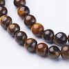 Natural Tiger Eye Beads Strands GSR6MMC014-B-2