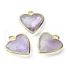 Natural Amethyst Pendants G-O204-01B-1