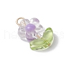 Transparent Acrylic Pendants PALLOY-JF03713-02-4