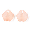 Transparent Acrylic Beads X-MACR-S373-106-D06-A-3