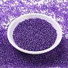 MIYUKI Round Rocailles Beads X-SEED-G007-RR1347-2