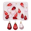 15Pcs 3 Colors Resin Pendants RESI-CJ0001-129-5