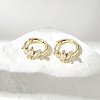 Brass Clear Cubic Zirconia Hoop Earrings EJEW-Q014-27G-1