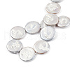 Plating Natural Freshwater Shell Beads Strands SHEL-N026-225A-4