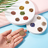 Fashewelry About 5500Pcs 11 Colors Glass Pointed Back Rhinestone RGLA-FW0001-04-5