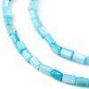 Natural Freshwater Shell Dyed Beads Strands SHEL-M018-12-05-3