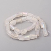 Electroplated Natural Quartz Crystal Beads Strands G-D0009-01B-08-2