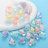 Tansparent Acrylic Beads PW-WGFE21F-01-3