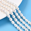 Natural Cultured Freshwater Pearl Beads Strands PEAR-N012-AA-01-1