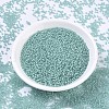 MIYUKI Round Rocailles Beads SEED-G007-RR1927-2