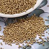 MIYUKI Delica Beads SEED-X0054-DB1832F-1