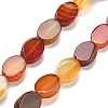 Natural Red Agate Beads Strands G-P559-B01-01-2