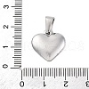 304 Stainless Steel Pendants STAS-P278-01S-P-1-3