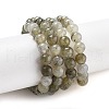 Natural Labradorite Bead Strands G-O155-05B-4mm-3