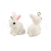 Resin Pendants X-RESI-S356-53-2