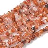 Natural Carnelian Beads Strands G-G0003-B18-01-1