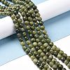 Natural Taiwan Jade Beads Strands X-GSR6mmC032-1