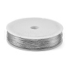Baking Painted Iron Wire MW-NH0001-04C-1