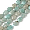 Natural Amazonite Beads Strands G-Z006-A43-2