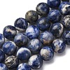 Natural Sodalite Beads Strands G-R015-B01-10mm-2